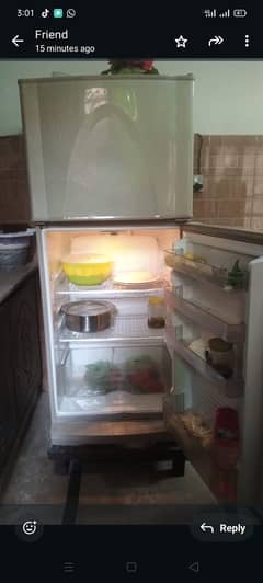 dawlence fridge lush condition
