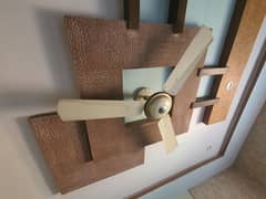 fan / ceiling fan