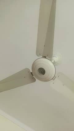 Pak Fan