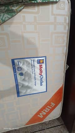 Molty Ortho Single bed mattress for sale