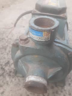 In saf golden water pump