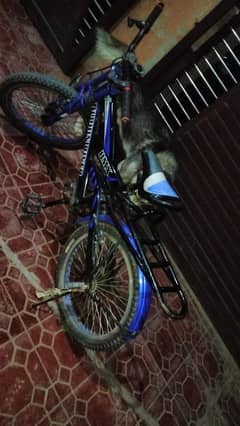 bay cycle for sale