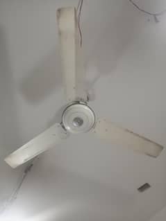 ceiling fan