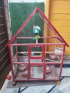 Australian bords 06 No with cage