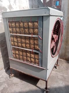 12 volt air cooler