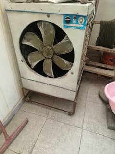 Used