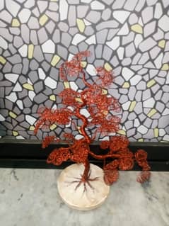 bonsai tree