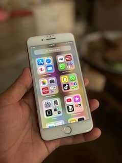 7 plus pta approved