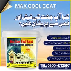 Roof Heat Proofing. nad Water Proofing Paint