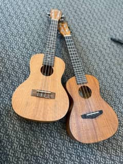 Ukulele