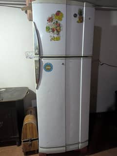 pel jumbo fridge . 0323.4065588