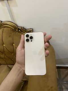 Iphone12 pro max non pta