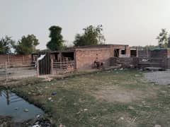 Dairy cattle farm for rent.
