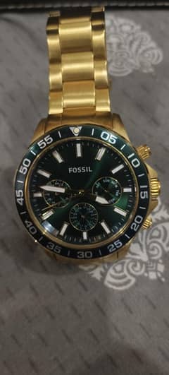 Fossil