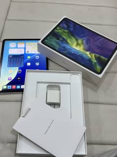 iPad Pro 11 inch Wi-Fi 256Gb