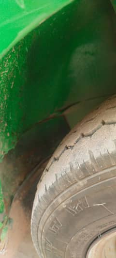 Bolan Green 15