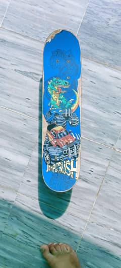 Skateboard