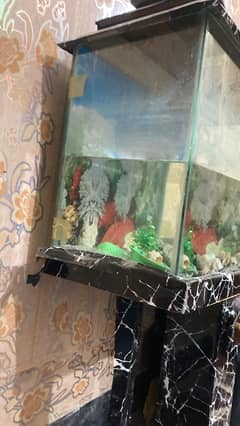 FISH AQUARIUM FOR SALE