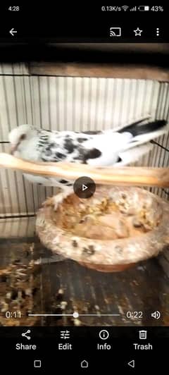 for