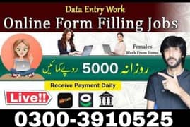 assignment writing/ online work