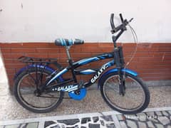 Cycle Galaxy