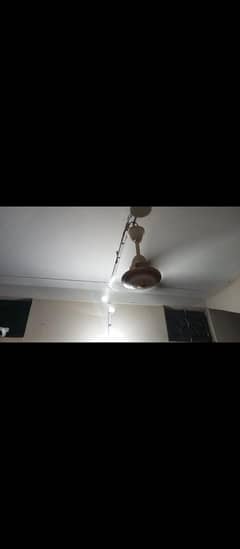 ceiling