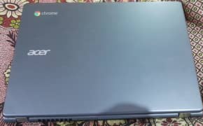 Acer