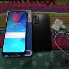 vivo
