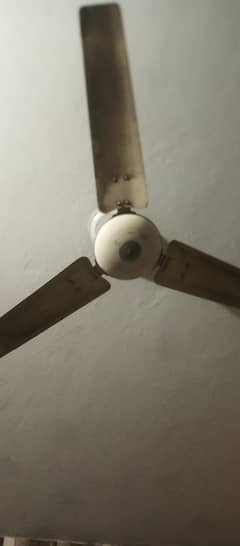 ceiling fan for sale pure copper royal fan