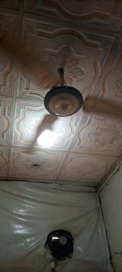 fan .
