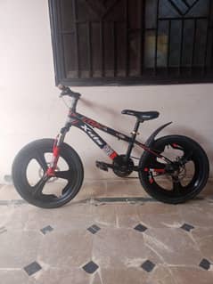 imported bicycle