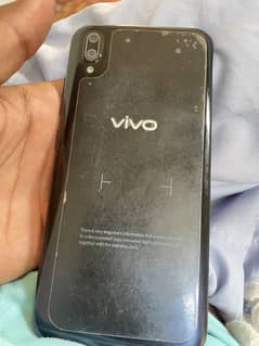 Vivo