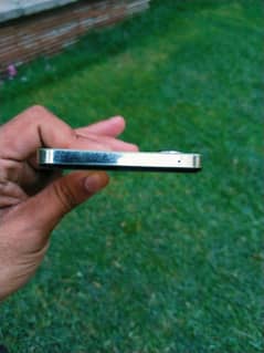 vivo Y100 8 256