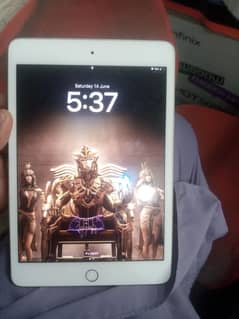 ipad mini 5