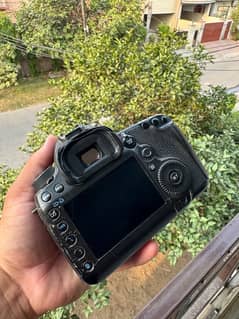 Canon 5D mark iii
