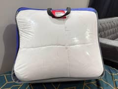 molty foam mattress pad