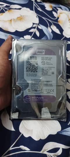 WD