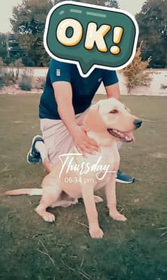 labra