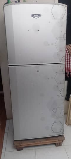 Freezer large size