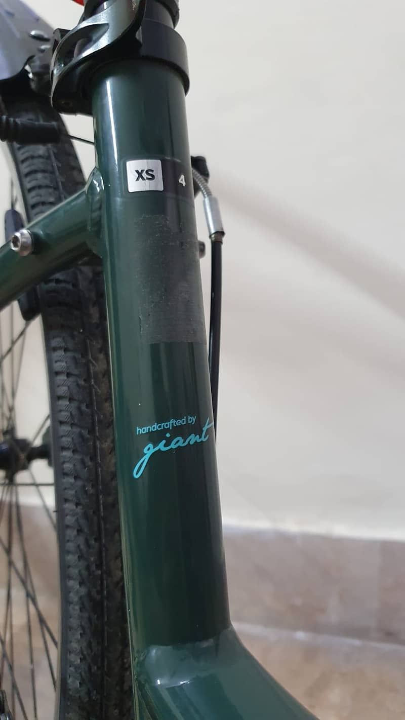 Ginat lCycle imported 03005532088 for sale 5