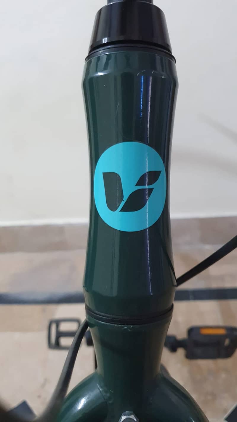 Ginat lCycle imported 03005532088 for sale 14