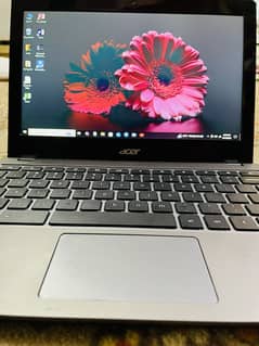 Acer
