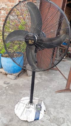 Pak Fan pedestal Fan Black Color 24"