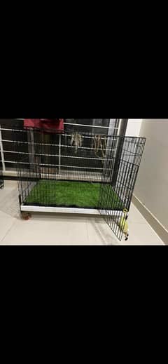 cage big size