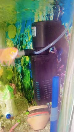 Aquarium filter
