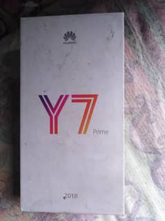 y7 prime