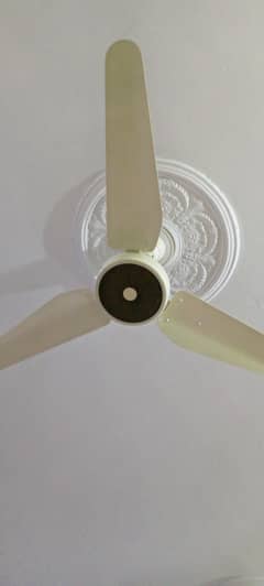 Lahore Fan For sale