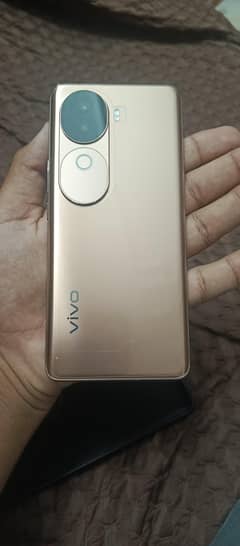 VIVO