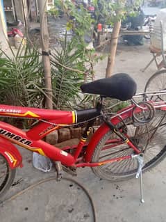 Cycle