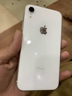 iPhone XR pta